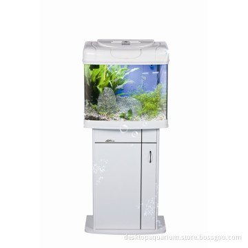 KD aquarium